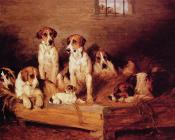 Foxhounds and Terriers in a Kennel - 约翰·伊姆斯
